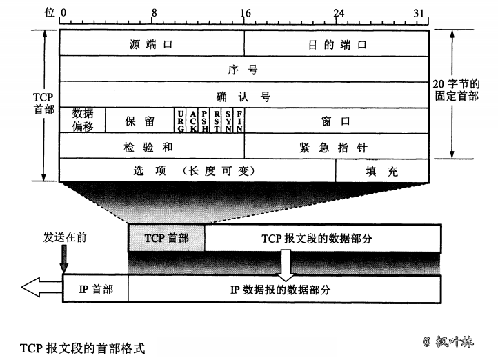 TCP协议-图7