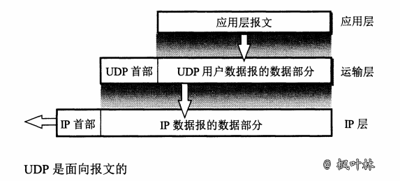 UDP协议-图1