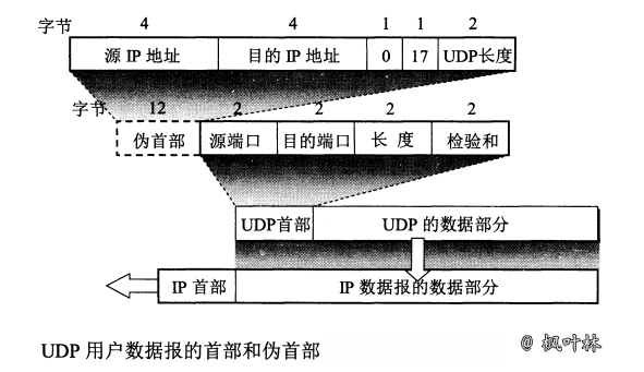 UDP协议-图2