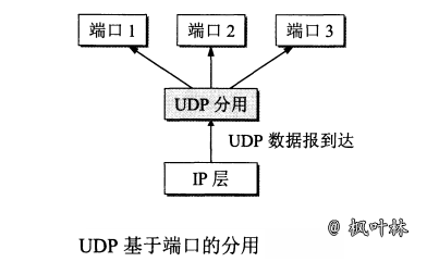 UDP协议-图3